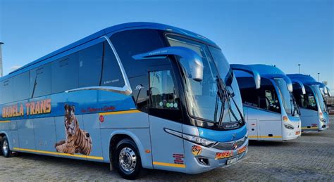 badela bus